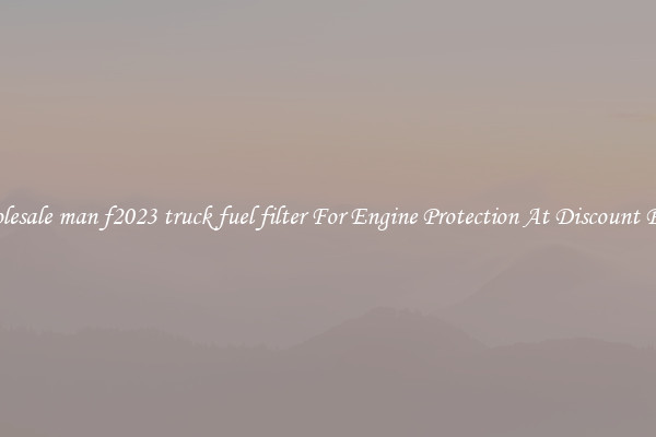 Wholesale man f2023 truck fuel filter For Engine Protection At Discount Prices
