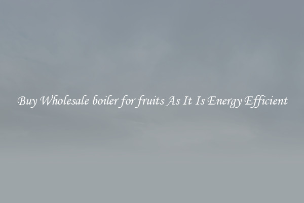 Buy Wholesale boiler for fruits As It Is Energy Efficient