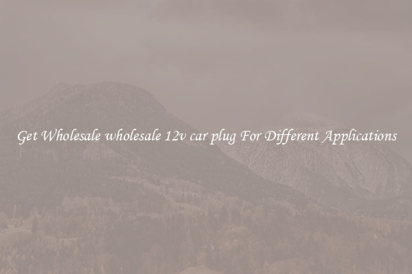 Get Wholesale wholesale 12v car plug For Different Applications