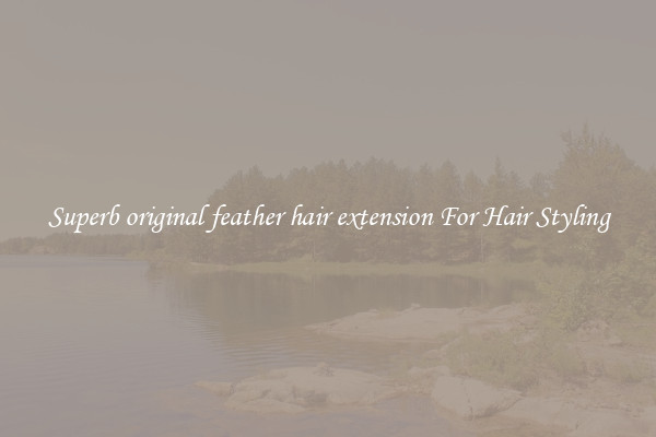 Superb original feather hair extension For Hair Styling