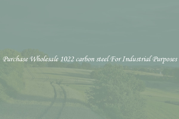 Purchase Wholesale 1022 carbon steel For Industrial Purposes