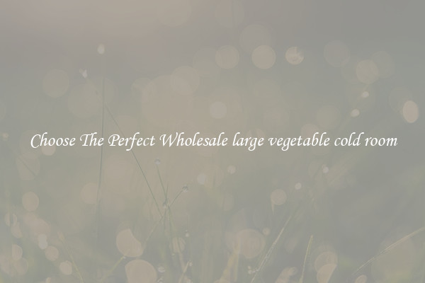 Choose The Perfect Wholesale large vegetable cold room