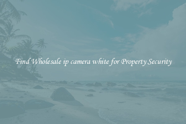 Find Wholesale ip camera white for Property Security