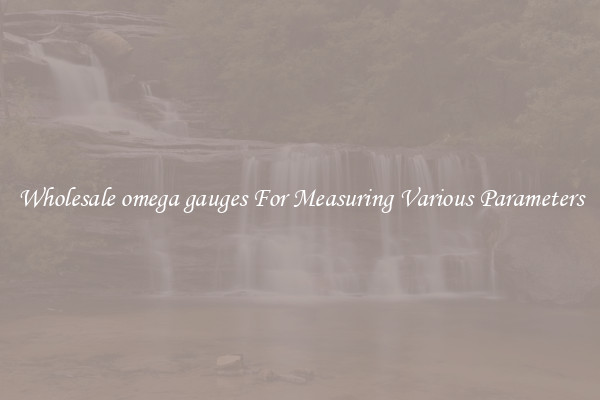 Wholesale omega gauges For Measuring Various Parameters