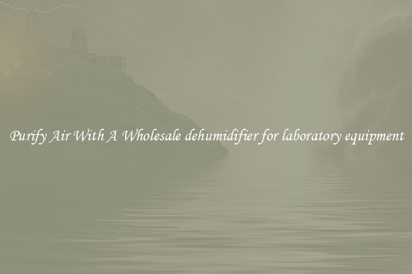 Purify Air With A Wholesale dehumidifier for laboratory equipment