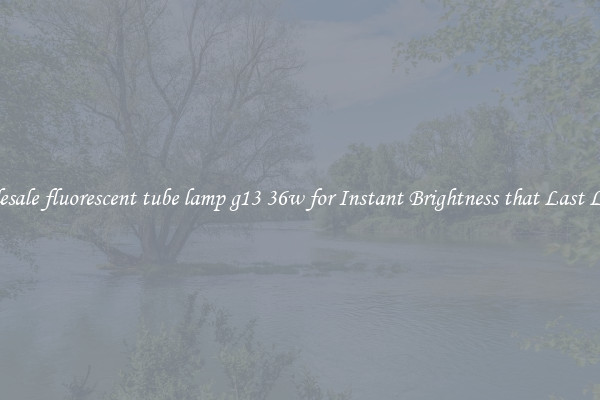Wholesale fluorescent tube lamp g13 36w for Instant Brightness that Last Longer