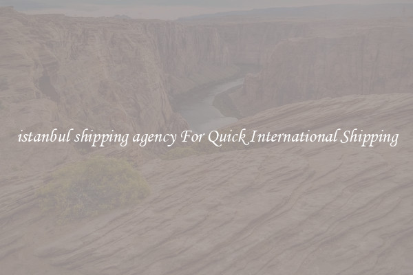 istanbul shipping agency For Quick International Shipping