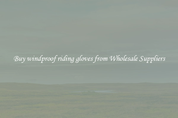 Buy windproof riding gloves from Wholesale Suppliers