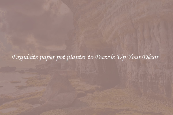 Exquisite paper pot planter to Dazzle Up Your Décor  