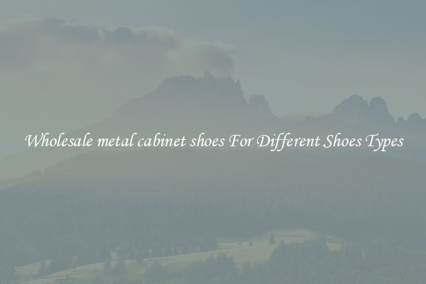 Wholesale metal cabinet shoes For Different Shoes Types