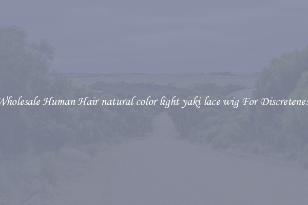 Wholesale Human Hair natural color light yaki lace wig For Discreteness