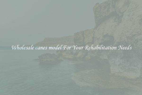 Wholesale canes model For Your Rehabilitation Needs