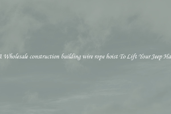 Get A Wholesale construction building wire rope hoist To Lift Your Jeep Hardtop
