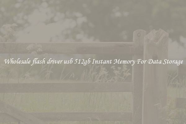 Wholesale flash driver usb 512gb Instant Memory For Data Storage