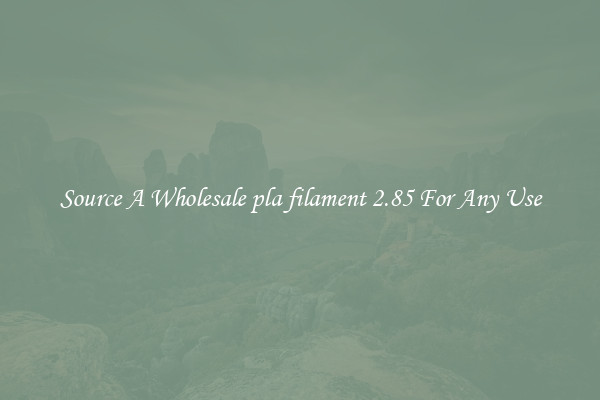 Source A Wholesale pla filament 2.85 For Any Use