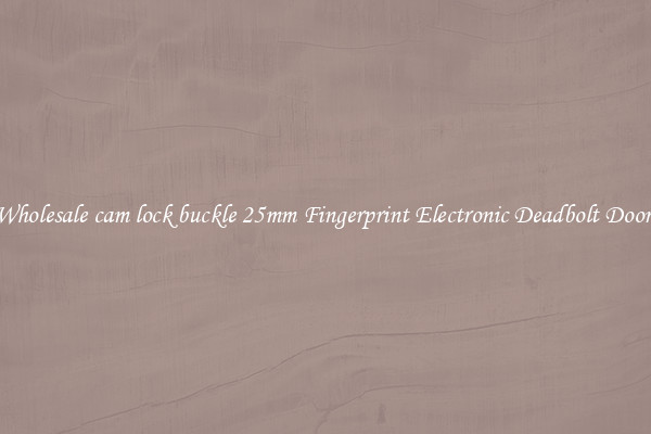 Wholesale cam lock buckle 25mm Fingerprint Electronic Deadbolt Door 