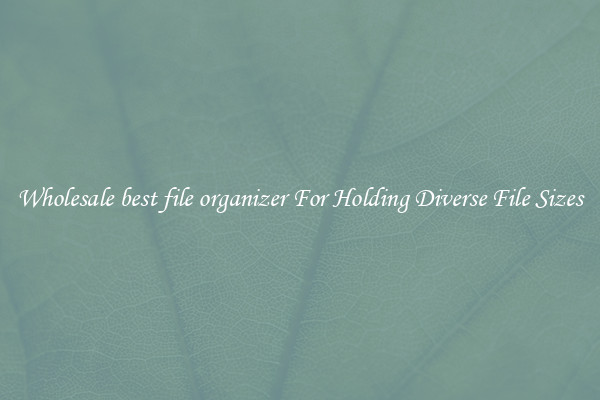 Wholesale best file organizer For Holding Diverse File Sizes