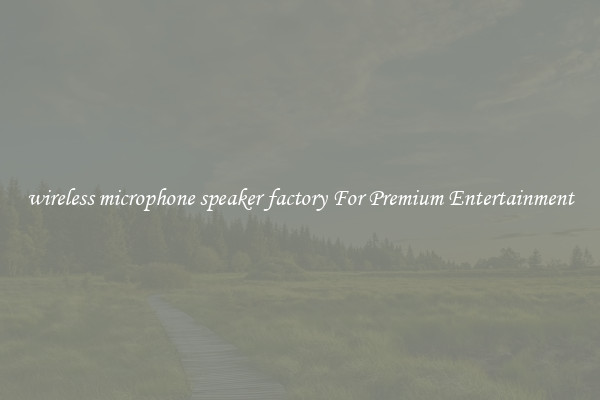 wireless microphone speaker factory For Premium Entertainment