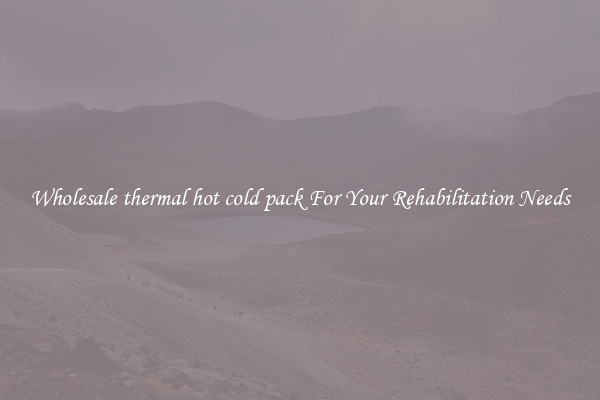 Wholesale thermal hot cold pack For Your Rehabilitation Needs