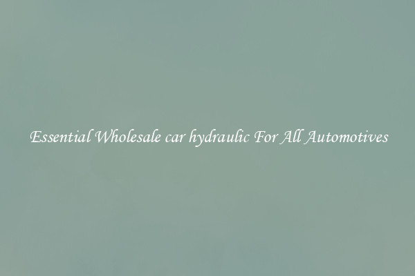 Essential Wholesale car hydraulic For All Automotives