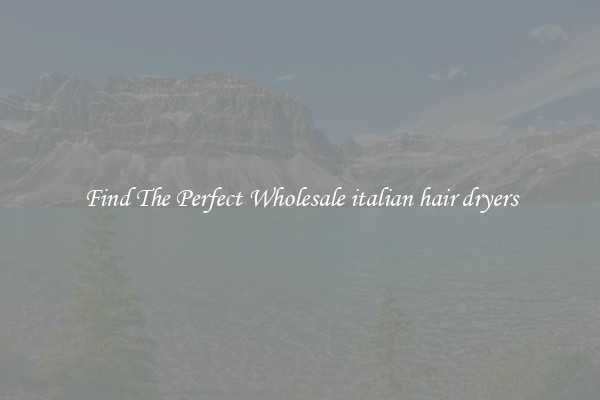 Find The Perfect Wholesale italian hair dryers