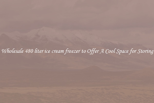 Wholesale 480 liter ice cream freezer to Offer A Cool Space for Storing